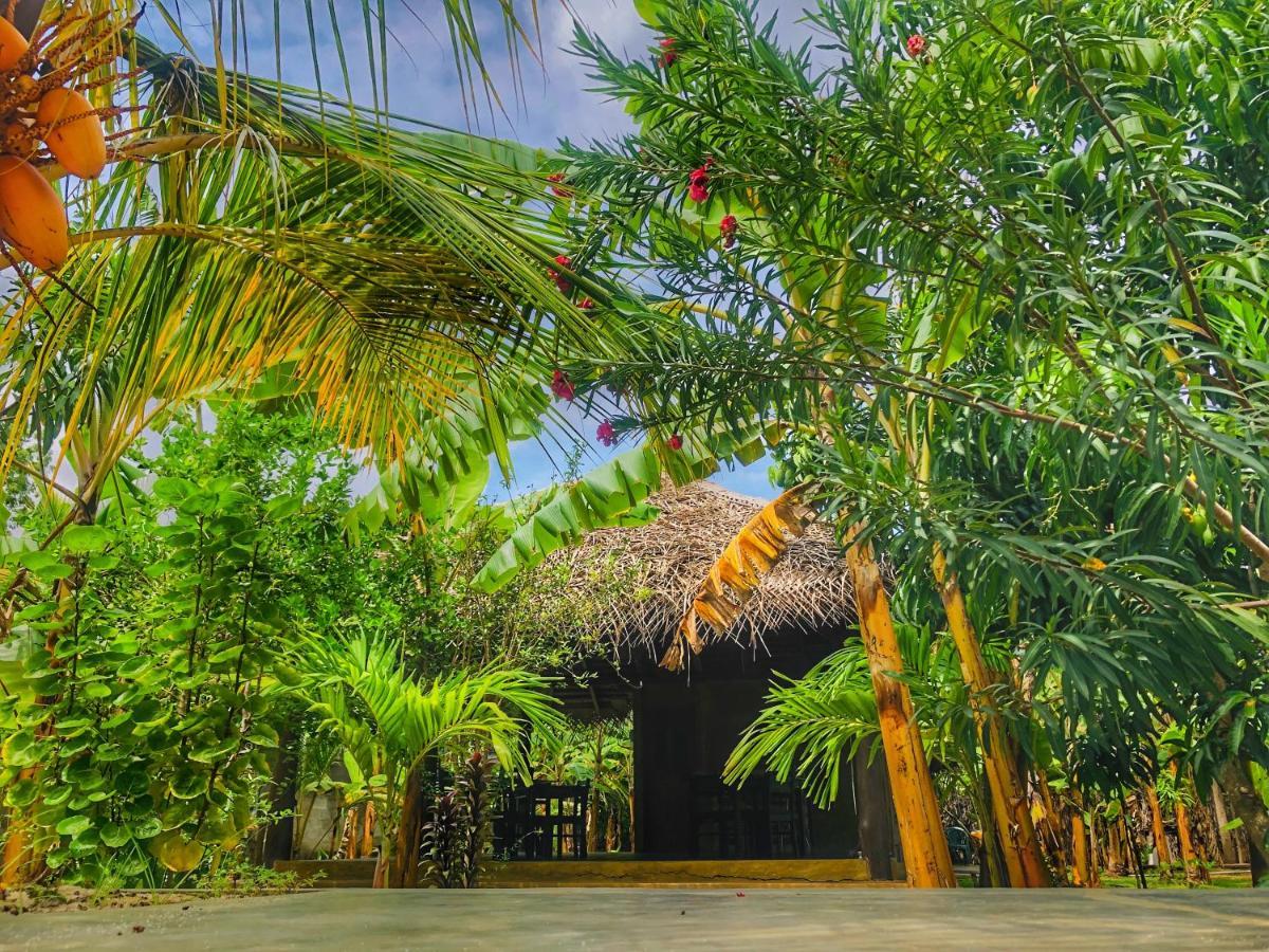 Richards Cabanas ทิซซามาฮารามา ภายนอก รูปภาพ