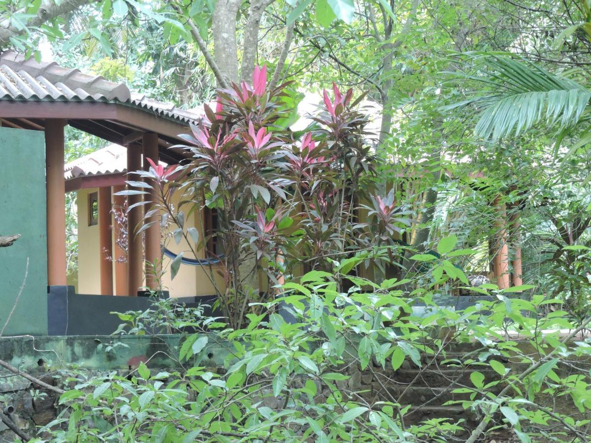Richards Cabanas ทิซซามาฮารามา ภายนอก รูปภาพ