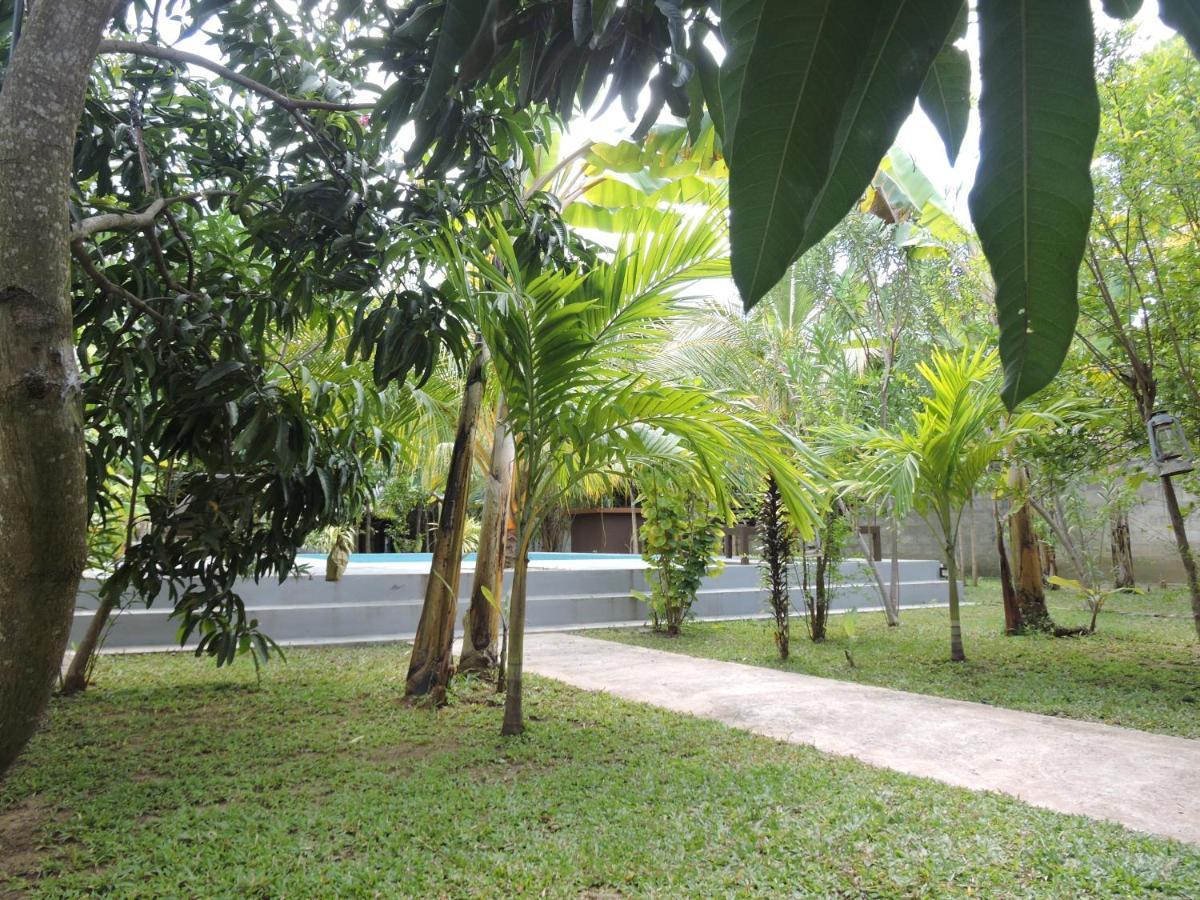 Richards Cabanas ทิซซามาฮารามา ภายนอก รูปภาพ
