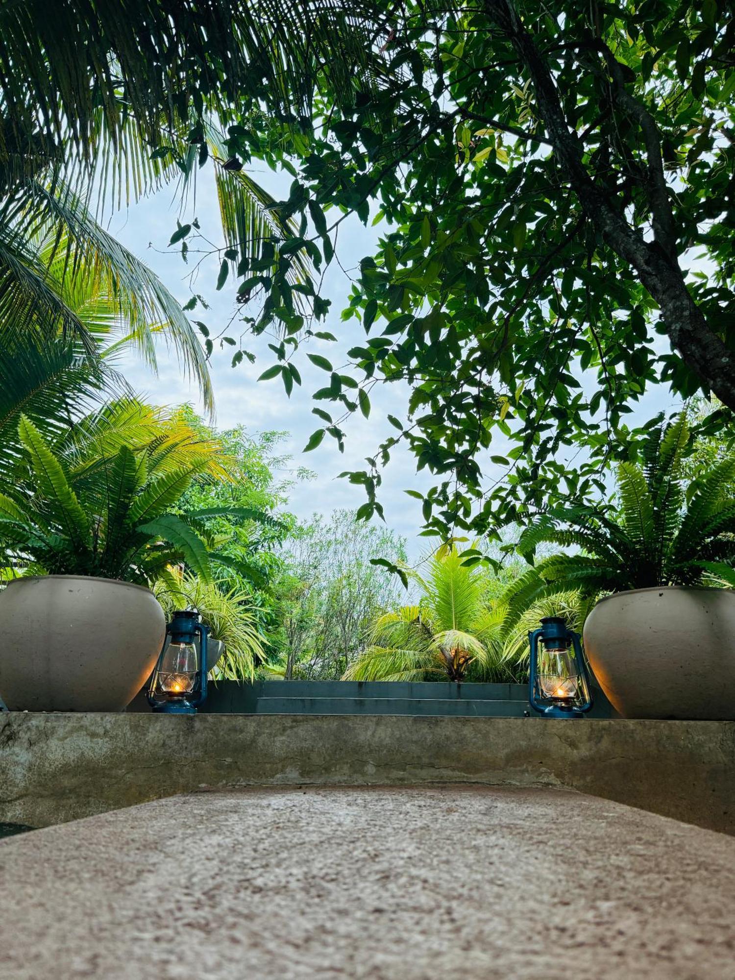 Richards Cabanas ทิซซามาฮารามา ภายนอก รูปภาพ
